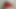 Compilation 18 year old solo masturbation with dildo