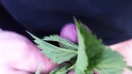 futlick 9