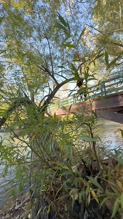 Halka açık mastürbasyon boise idaho greenbelt bisiklet yürüyüş parkuru