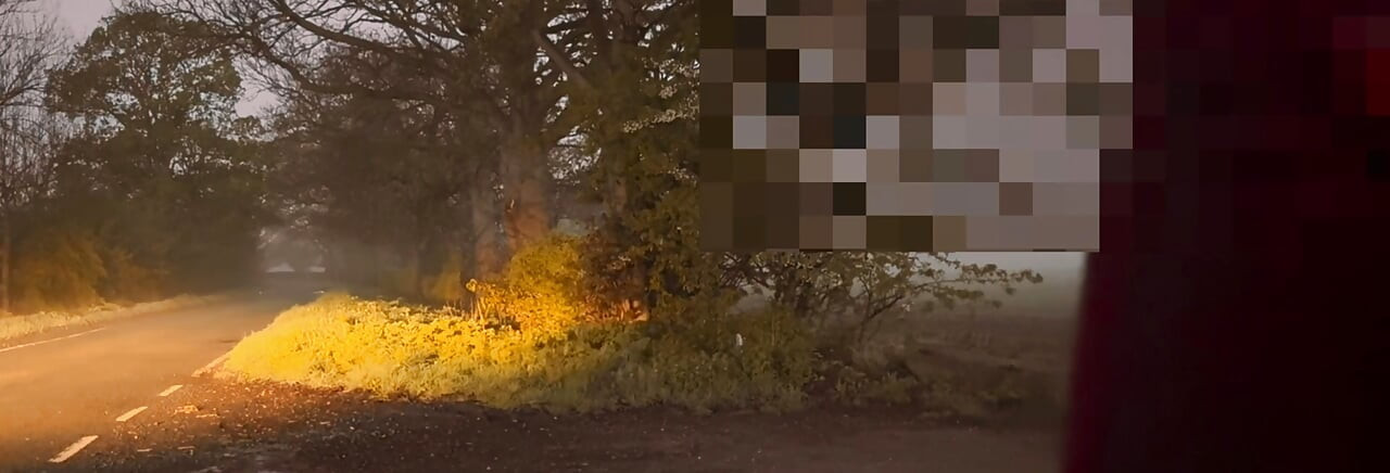 Busting a nut between 2 cars passing whilst naked and barefoot at side of road