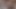 Weird Stepbro Fucking His Sister RAW