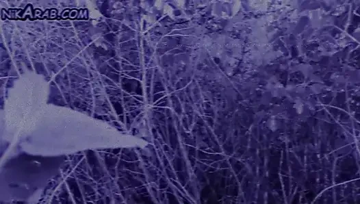 Heißes arabisches öffentliches motargem