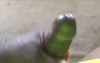 Pregled videozapisa