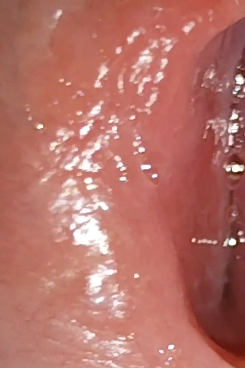 又宽又深，令人无法抗拒的湿洞！