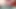 Slowly oozing cum while edging, then releasing big mighty huge load in metal tray, super extreme close-up cumshot, sperm