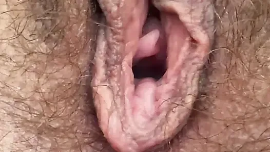 Meine ehefrau feuchte muschi, haarige fotze in nahaufnahme