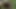 I watch my stepmom masturbate her pussy in the park before squirting