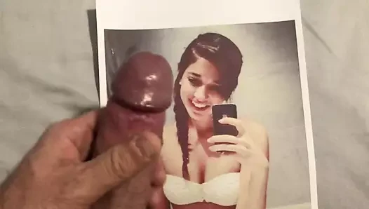 Cum haraç