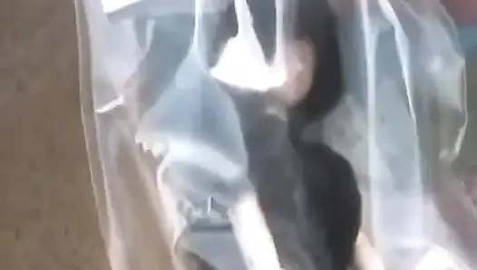 Doll Awakens. Sessiz vücuttan tutkulu zevk arayanlara. - 1