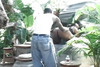 Pregled videozapisa