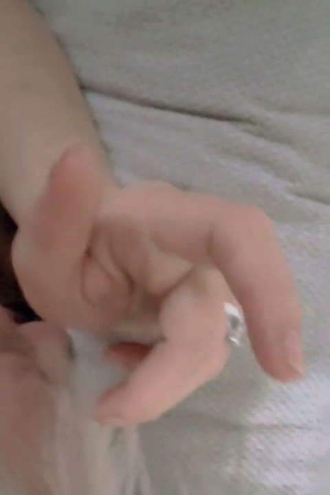 야생의 섹스 - 입, 질, 엉덩이, 그리고 적당한 양의 정액까지.