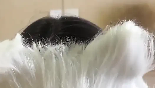 Today I'm a Naughty Kitten Who Wants Milk