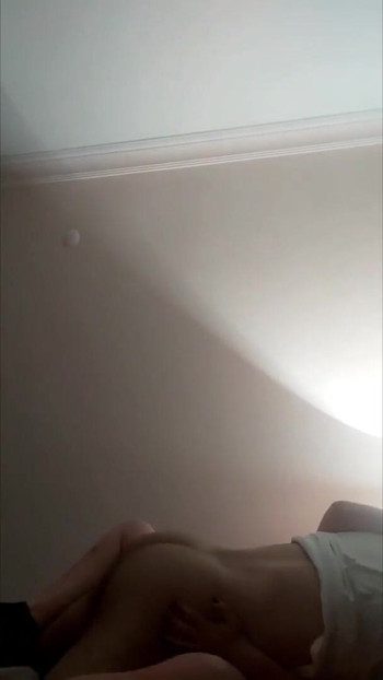 Pregled videozapisa