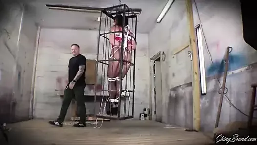 Caged Crotch Rope Predicament