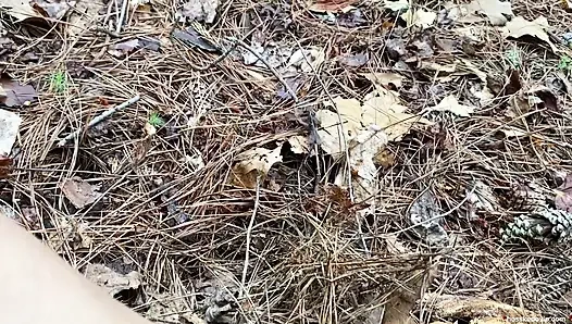 Öffentlicher trail-sex, großer schwanz, brocken, hoss, Kado ficken, blonde hotwife lora reitet blowjob gesichtsbesamung pOV