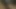 Today's cum
