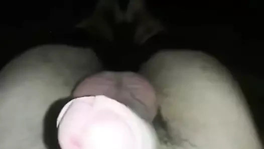 benim Alman büyük horoz