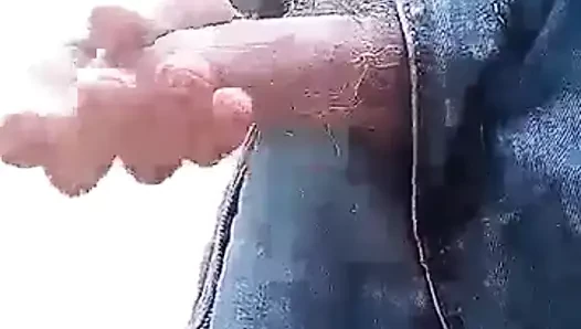 grandpa turtle