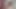 I cum twice at once while sitting on the toilet - Lesbian-illusion