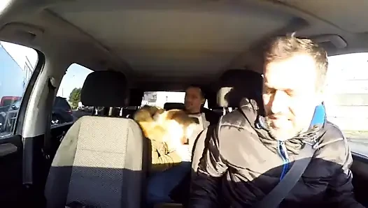 Ev kadınları avcısı - sahne #03