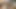 Hintli sıcak genç milf yabancıyla sikişmek – oral seks