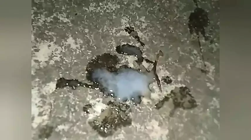 Village girl boy sex video