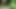 HerzogVideos Im Wald und auf der Heidi