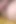 Twink pop - kıllı Scott Riley landon ve büyük yaraklı will ile edepsiz bir üçlü seks fantezisi gerçekleştiriyor