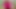 Pink Bikini Wank