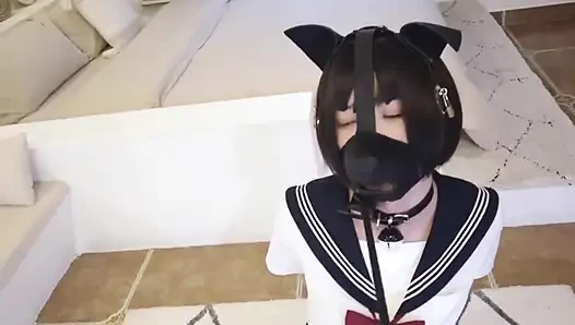 Dressed in Jk Clothes Is Restrained and Whipped