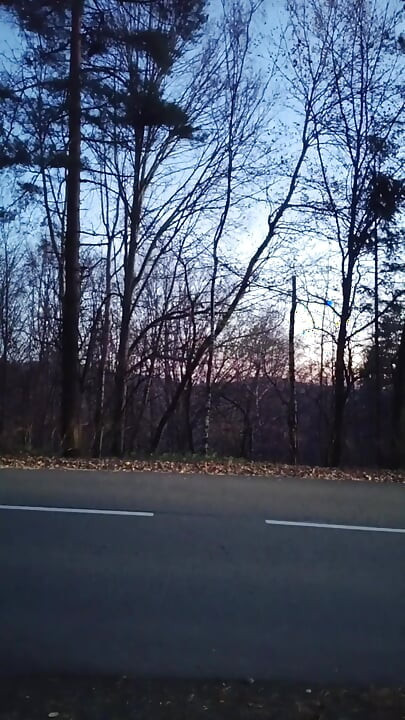 I Was Caught Masturbating in Public by a Stranger