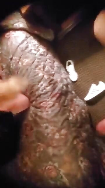 生日頂部