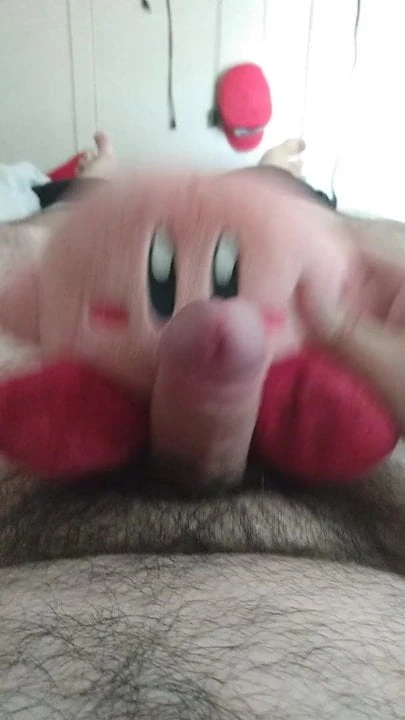 Playing with Kirby Plush