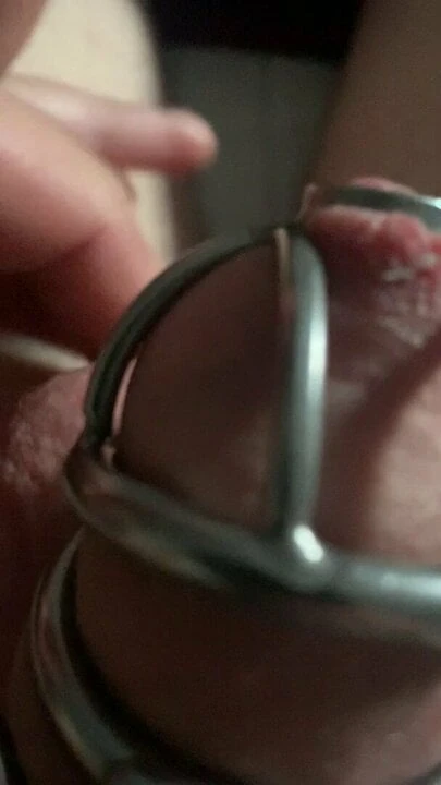 Small white dick twitching in chastity