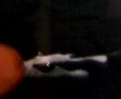 My  cock in cam From Puerto Rico