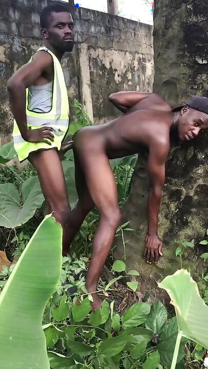 Outdoor Sex Behind the Palm Tree Is the Farm