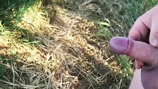 Riskli - field.mp4 pissing