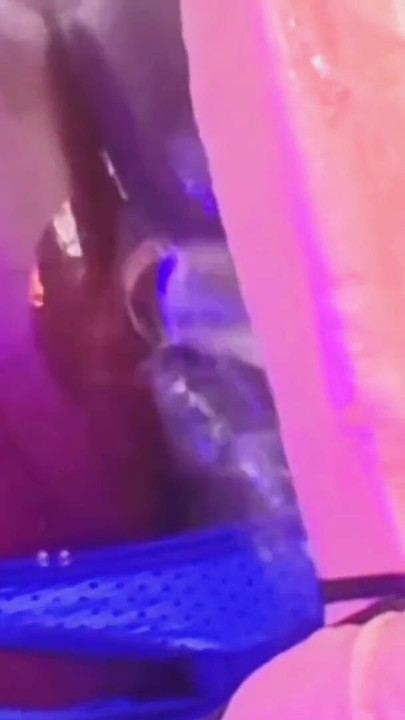 Mr Hankeys Rentman Dildo Terrorizes Power Bottom DipsoDeep | Clip 2