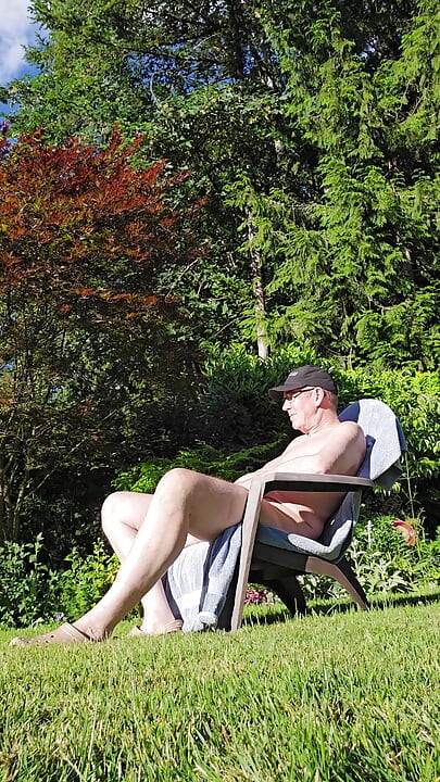 More Sun In The Backyard