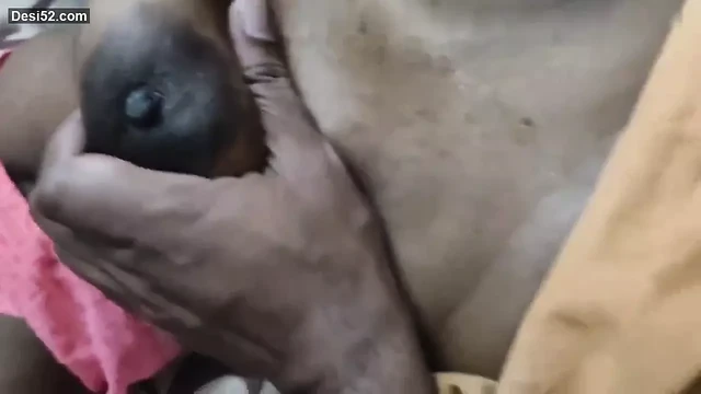 Indian bhabhi sex videos
