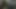 I left this video in my stepfather's cell phone gallery 🤫