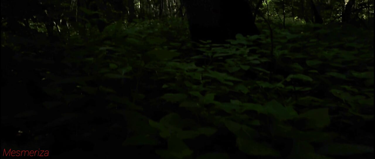 trailer Mesmeriza 23 03 MOV CINEMA CLIP 322 20240814144714515