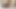 彼女が新しい靴を試着した瞬間、私はすぐにコントロールを失いました