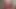 Babe Face Cute Pretty Booty Crossdresser Model Cosplayer Amateur Sissy Femboy
