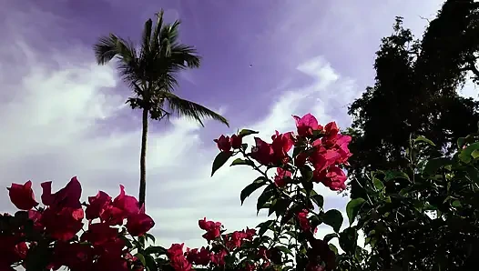 Hot Car Sex with Nataly