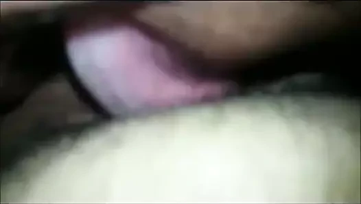 DINDN E O PUTINHO DE SANTA  CATARINA