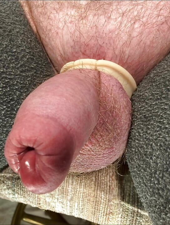 Giant uncut cock up close.  No hands.
