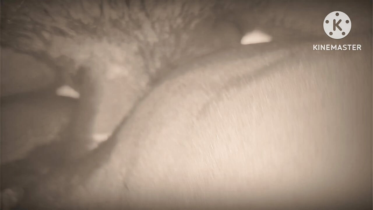 Bhabhi di bund mari sari rat main