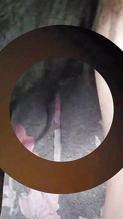 Śmierdząca kompilacja