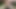 大きなペニスを持つ痩せた男がいとこに母乳を与えている